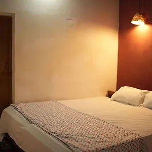 Zebra Hostel Varkala